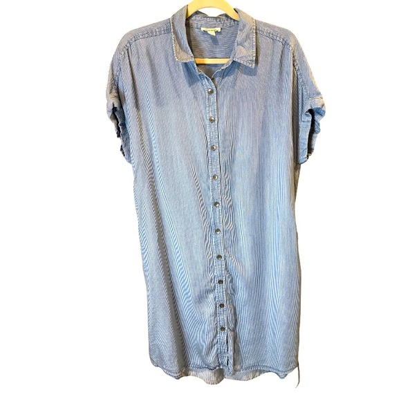 Goodthreads Blue/ white striped button down dress - Picture 3 of 6